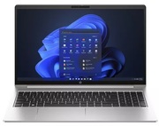 НоутбукHPProBook455G10PikeSilver