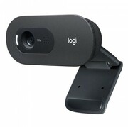 LogitechHDWebcamC505eBusiness,HD720p/30fpsvideocalls&recording,1omni-directionalMic,USB2mBlack