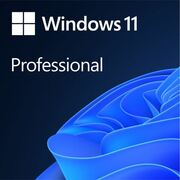 Windows11Pro64BitEngIntl1pkDSPOEIDVD