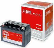 Fiamm-Moto7902886-7904482FTZ10S-BSDNew-StormOth4/autoacumulatorelectric