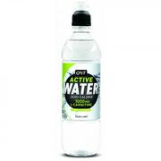 QNT0013ActiveWaterLime500ml.