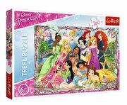 Puzzles-"260"-Princessesmeeting/DisneyPrincess