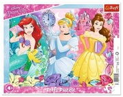 Puzzles-"25Frame"-Magicprincesses/DisneyPrincess