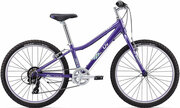 ВелосипедGiantEnchant24lite/purple2017