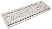 "KeyboardSVENStandard301WhiteUSB-http://www.sven.fi/ru/catalog/keyboard/standard_301.htm"