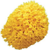 Губка"Honeycomb"12