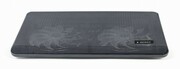 NotebookCoolingPadGembirdNBS-2F15-05,upto15.6'',2x125mmLEDfans,USB,Adjustableangle