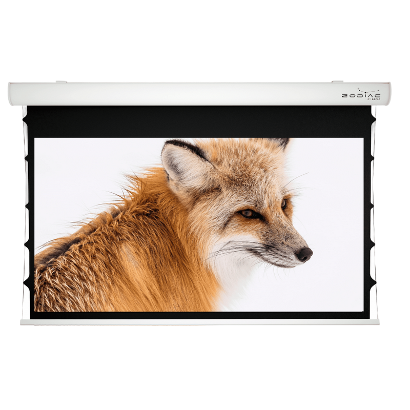 Electrical Screen 16:10 Sopar Taurus Tensioned, 53355ZT, 340x213 view area, BB, 1.0 gain