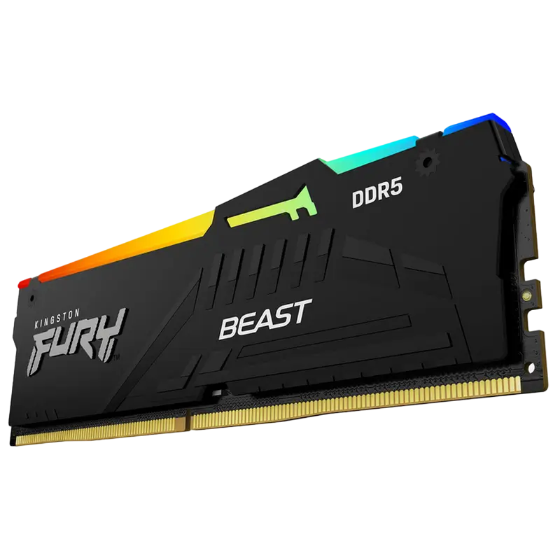 16GB DDR5-5600MHz Kingston FURY Beast RGB (Kit of 2x8GB) (KF556C36BBEAK2-16), CL36-38-38, 1.25V, AMD EXPO 1.0/Intel XMP 3.0, Black