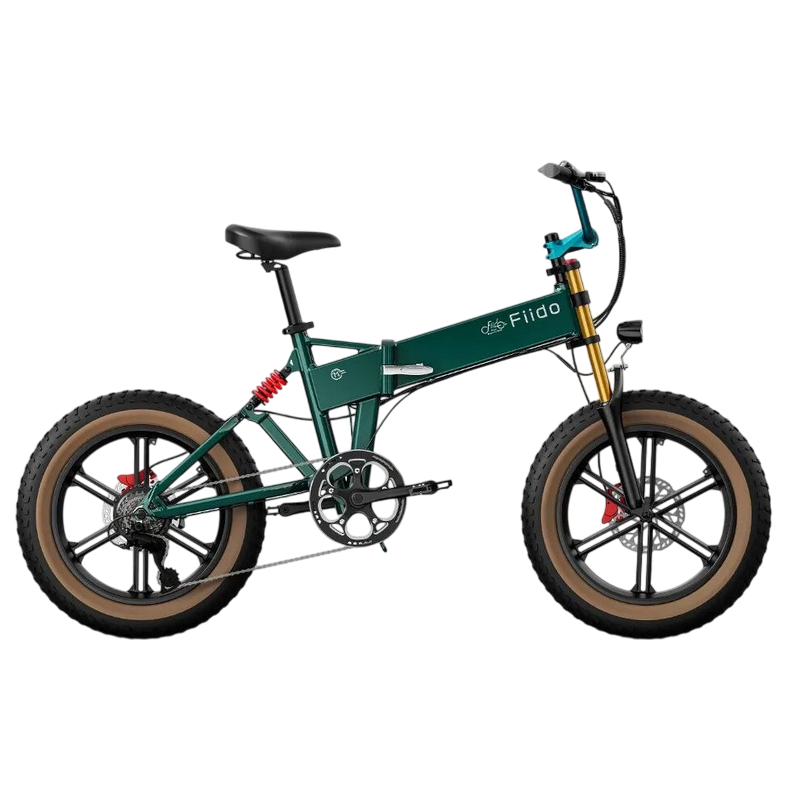 Electric bicycle FIIDO M1Pro Green/Blue (M2026)