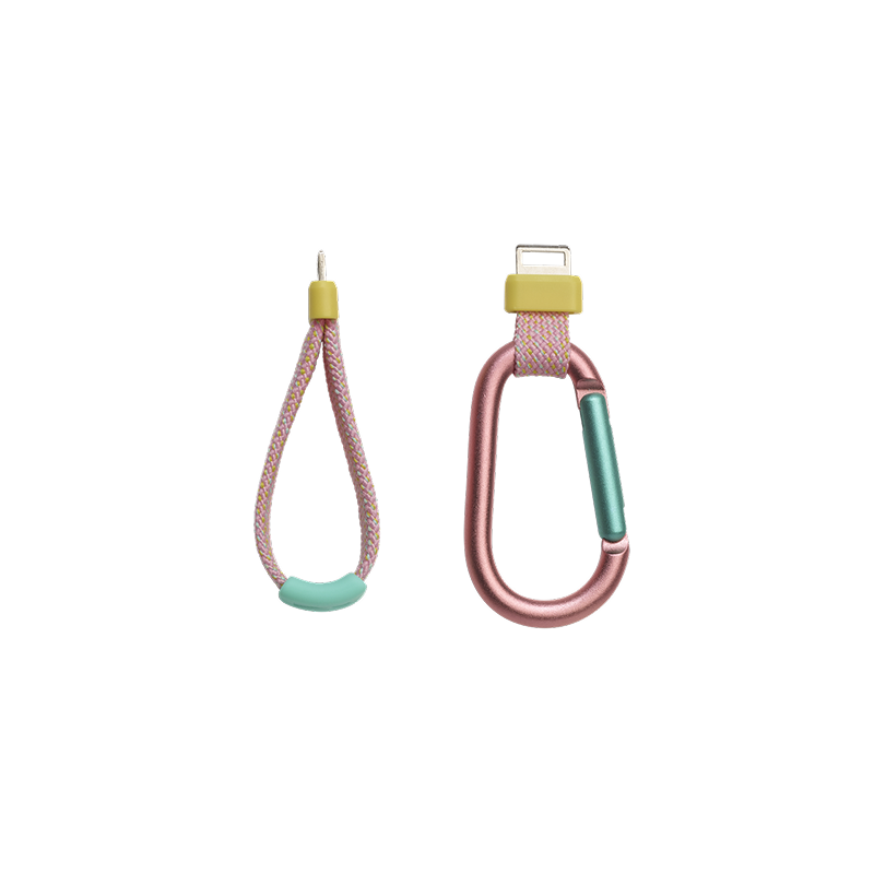 Portable Speakers JBL Flip 7, Pink