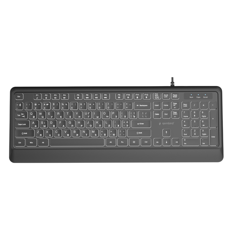 Gaming Keyboard Gembird KB-UML-04-CYRL, USB Type-A + C RU/EN