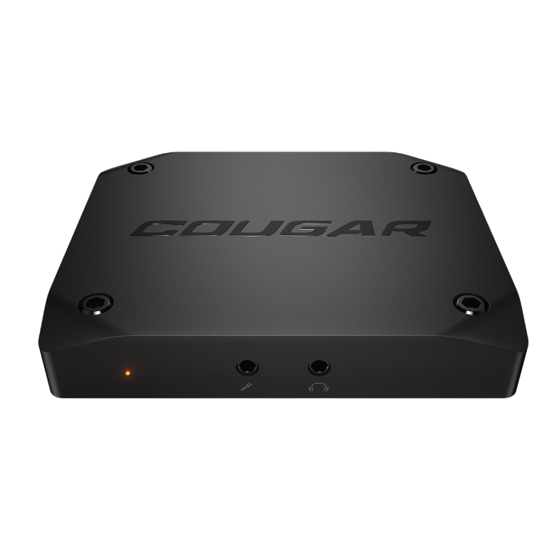 Cougar video capture ENVISION