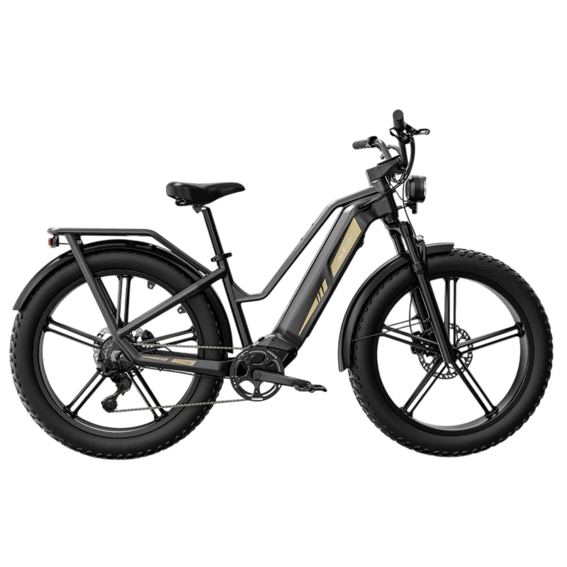 Electric bicycle FIIDO TITAN BLACK