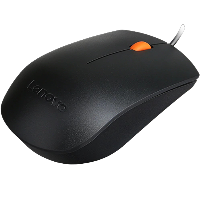 Lenovo 300 USB Mouse - WW