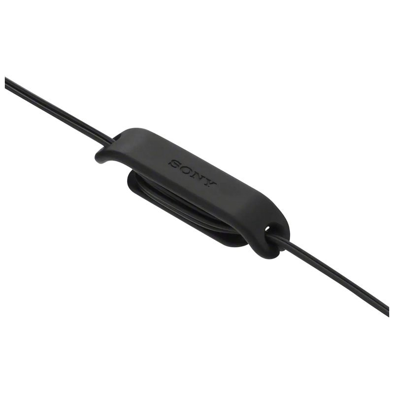 Earphones SONY IER-EX15CB, USB-C, Black