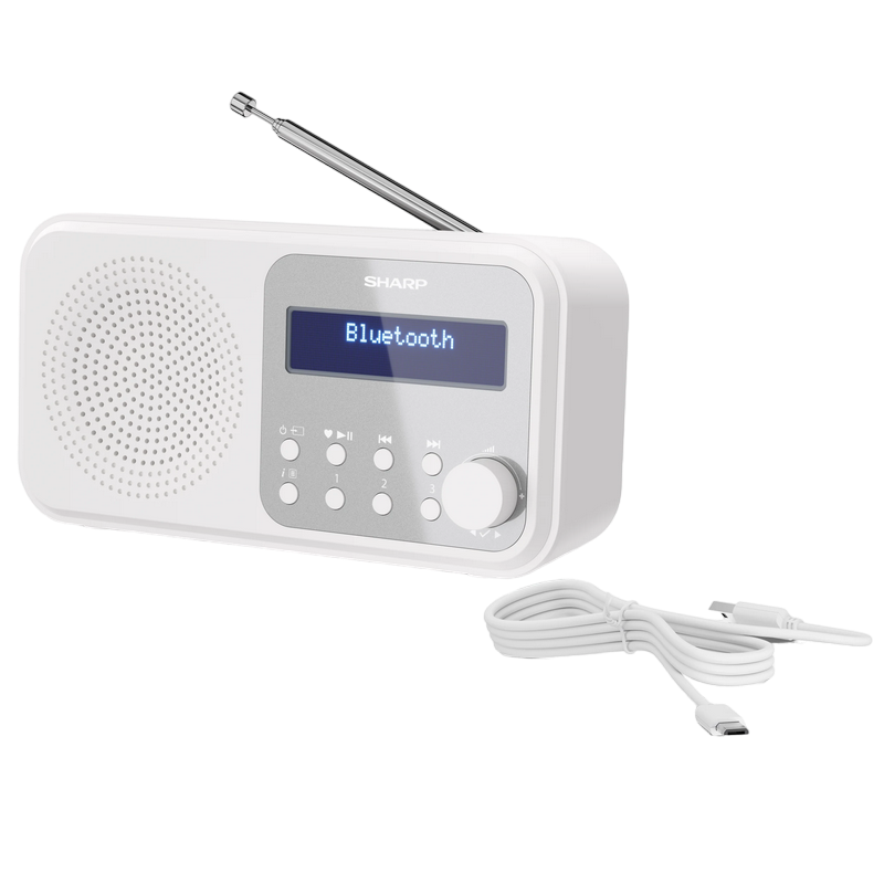 Sharp DR-P420WHV01, Portable Digital Radio