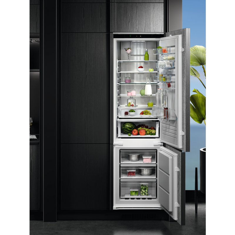 Bin/Refregerator AEG NSC8M191DS