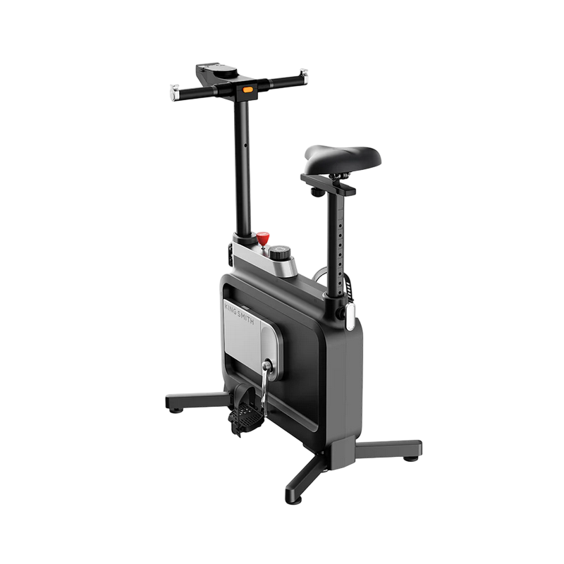 Kingsmith Exercise Spinning Bike W1B Black