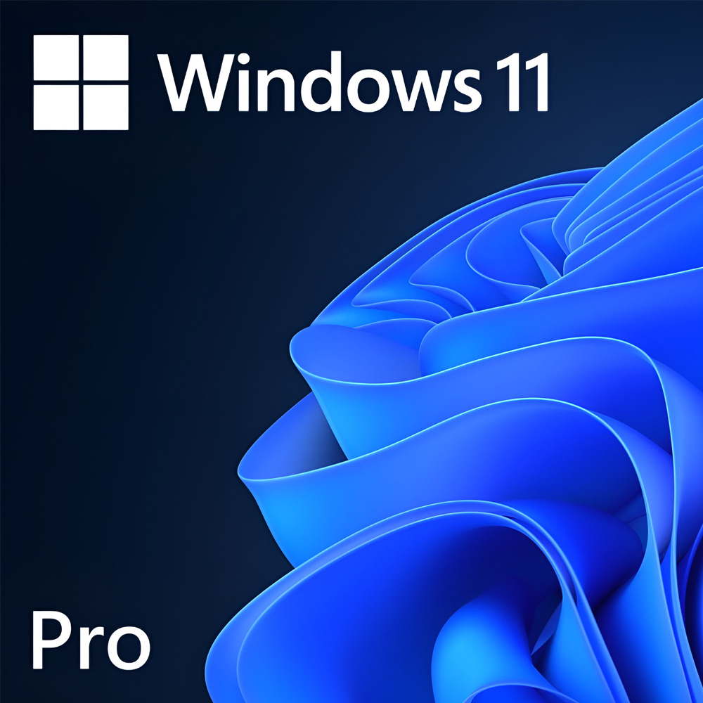Microsoft Windows 11 Pro 64 bit OEM English