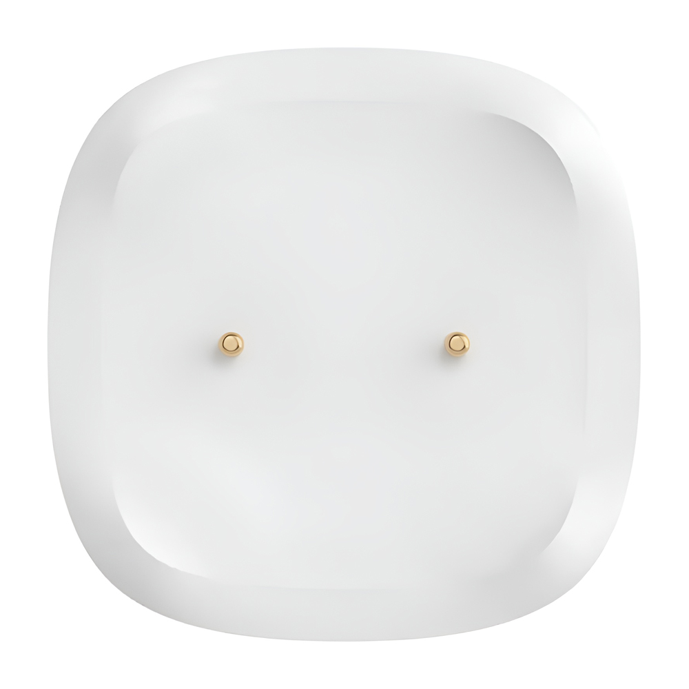 Sonoff Zigbee Water Leak Sensor SNZB-05P