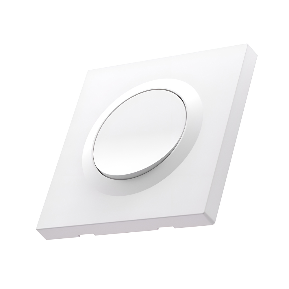 Sonoff Wall Switch Enclosure E1GSL for ZBMINL2