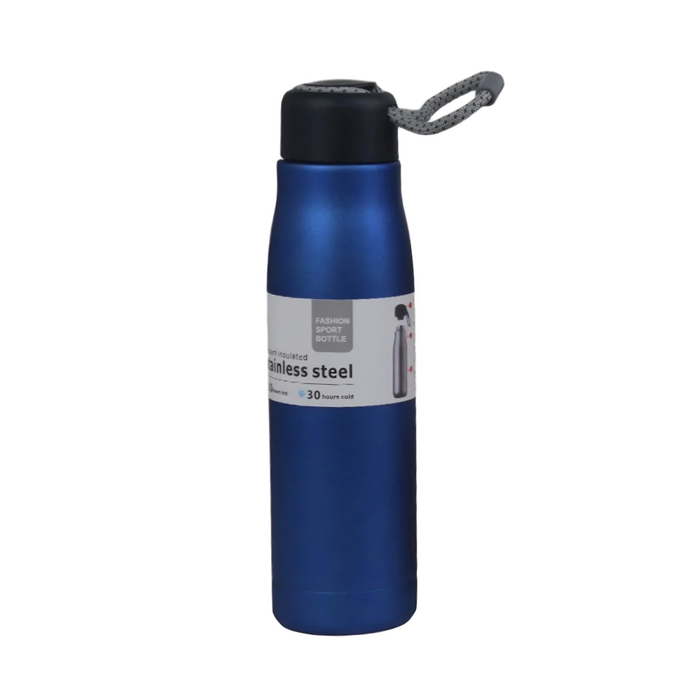 Daily Thermos 550 ML SJ429-27, Blue