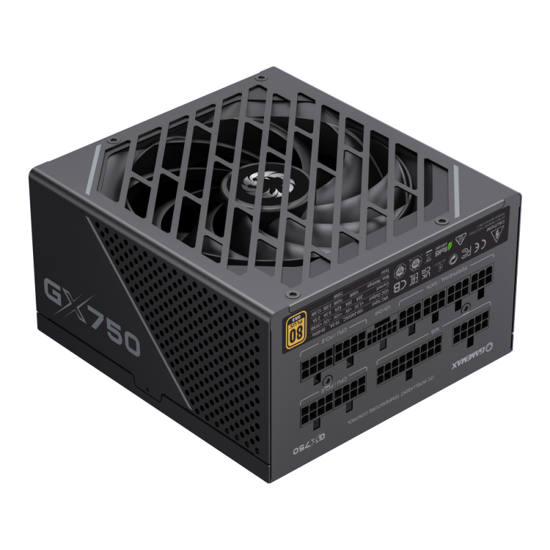 Power Supply ATX 750W GAMEMAX GX-750 PRO, 80+ Gold, 135mm, Active PFC, SR+LLC+DC/DC, ATX 3.1, PCIe5.1, Full Modular, Black